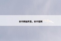 长宁网站开发，长宁官网