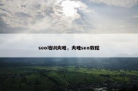 seo培训夫唯，夫唯seo教程