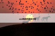 seo陈欧的简单介绍