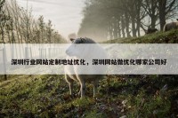 深圳行业网站定制地址优化，深圳网站做优化哪家公司好