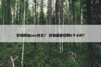 舒城网站seo优化？ 舒城最新招聘8个小时？