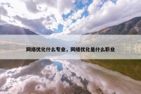网络优化什么专业，网络优化是什么职业