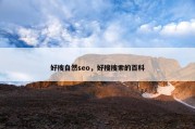 好搜自然seo，好搜搜索的百科