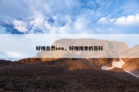 好搜自然seo，好搜搜索的百科