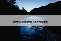 温州网站建设效果好（温州网站建站）