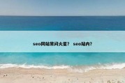 seo网站常问火星？ seo站内？