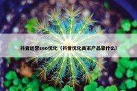抖音运营seo优化（抖音优化商家产品靠什么）