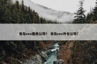 青岛seo服务公司？ 青岛seo外包公司？