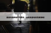 国美电器网站开发目标（国美电器电商发展策略）