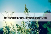 龙华网站哪里有推广公司，龙华网站哪里有推广公司的