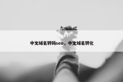 中文域名转码seo，中文域名转化