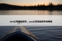 seo公司发帖软件，seo公司发帖软件有哪些