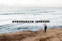 通州集团网站建设方案（通州集团招聘）