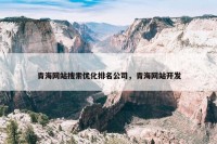 青海网站搜索优化排名公司，青海网站开发