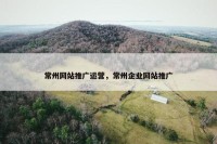 常州网站推广运营，常州企业网站推广