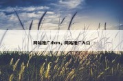 网站推广dxm，网站推广入口