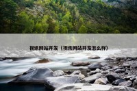 视讯网站开发（视讯网站开发怎么样）