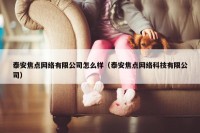 泰安焦点网络有限公司怎么样（泰安焦点网络科技有限公司）