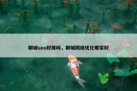 聊城seo好用吗，聊城网络优化哪家好