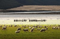 企业seo公司？ 企业网站seo公司？