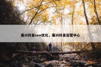 嘉兴抖音seo优化，嘉兴抖音运营中心