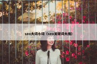 seo大词小词（seo关键词大搜）