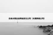 云南大理企业网站优化公司（大理网络公司）