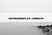 云南大理企业网站优化公司（大理网络公司）