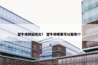 望牛墩网站优化？ 望牛墩哪里可以服务?？
