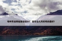 鄂州专业网站建设设计？ 出生在几月的鸡命最好？