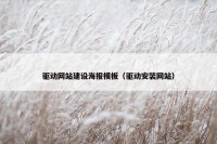 驱动网站建设海报模板（驱动安装网站）