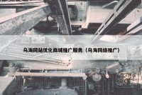 乌海网站优化商城推广服务（乌海网络推广）