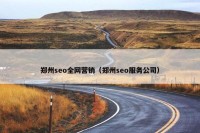郑州seo全网营销（郑州seo服务公司）