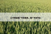 辽宁网站推广外包服务，推广外包平台