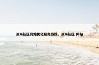 滨海新区网站优化服务热线，滨海新区 网站