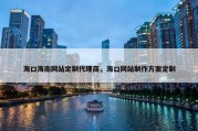 海口海南网站定制代理商，海口网站制作方案定制