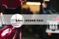 逸风seo（娱乐独载者 李逸风）