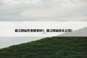 丽江网站开发哪家好？ 丽江网站优化公司？