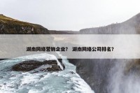 湖南网络营销企业？ 湖南网络公司排名？
