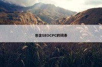 包含SEOCPC的词条