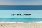 三河seo怎么样，三河网络公司
