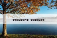 常德网站定制方案，定制型网站建设