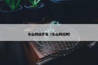 东山网站开发（东山网招聘）