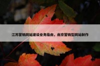 江苏营销网站建设业务指南，南京营销型网站制作