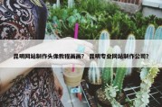 昆明网站制作头像教程画画？ 昆明专业网站制作公司？