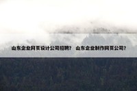 山东企业网页设计公司招聘？ 山东企业制作网页公司？