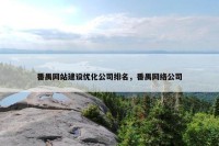 番禺网站建设优化公司排名，番禺网络公司