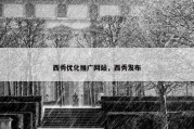 西秀优化推广网站，西秀发布