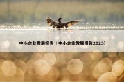 中小企业发展报告（中小企业发展报告2023）