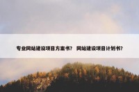 专业网站建设项目方案书？ 网站建设项目计划书？